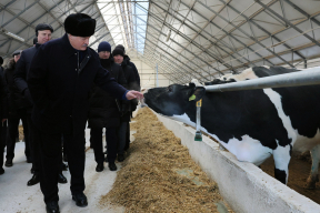 Почему Лукашенко переживает больше за скотину, чем за людей? Объяснение психолога