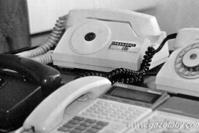 Как страх и паранойя Лукашенко обернулись очередным позором для КГБ